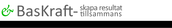 BasKraft